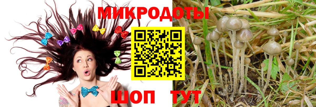Галлюциногенные грибы MAGIC MUSHROOMS  Вход с VPN  Псилоцибиновые грибы Cubensis  Выборг 